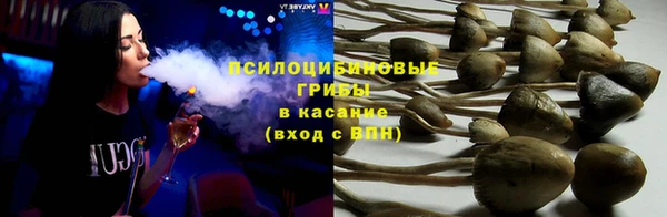 стаф Куйбышев